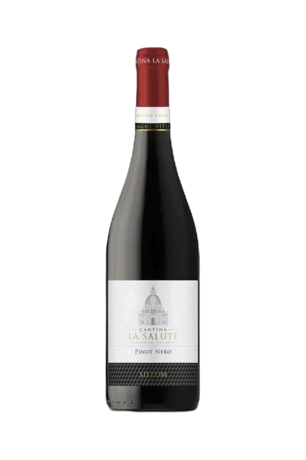 WhatsApp Image 2025-07-17 at 11.31.37 (7) WhatsApp Image 2025-07-17 at 11.31.37 (7)